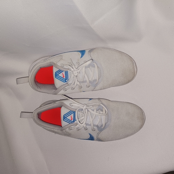 Nike Flex Experience RN 10 Pure Platinum/ lmperial Blue (C19960 010) Men's 8.5 - Picture 2 of 7